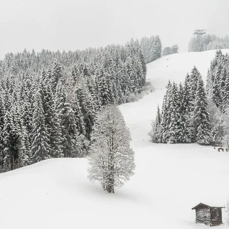 Penthouse In Near Slopes *